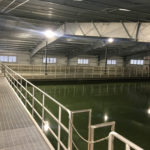 APO-Mill-Creek-Water-Treatment-Plant-WEB